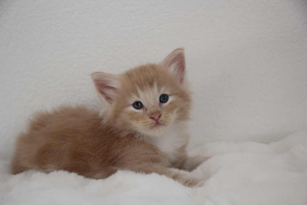 Mylo - 4 semaines et 6 jours (20)