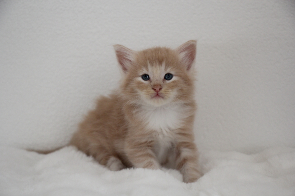 Mylo - 4 semaines et 6 jours (27)