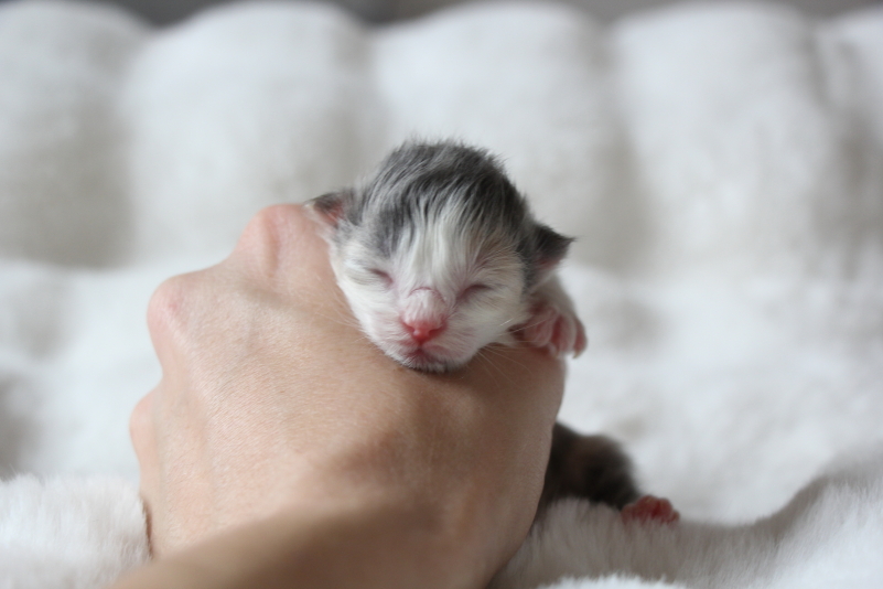 Maëlle - 2 jours (2)